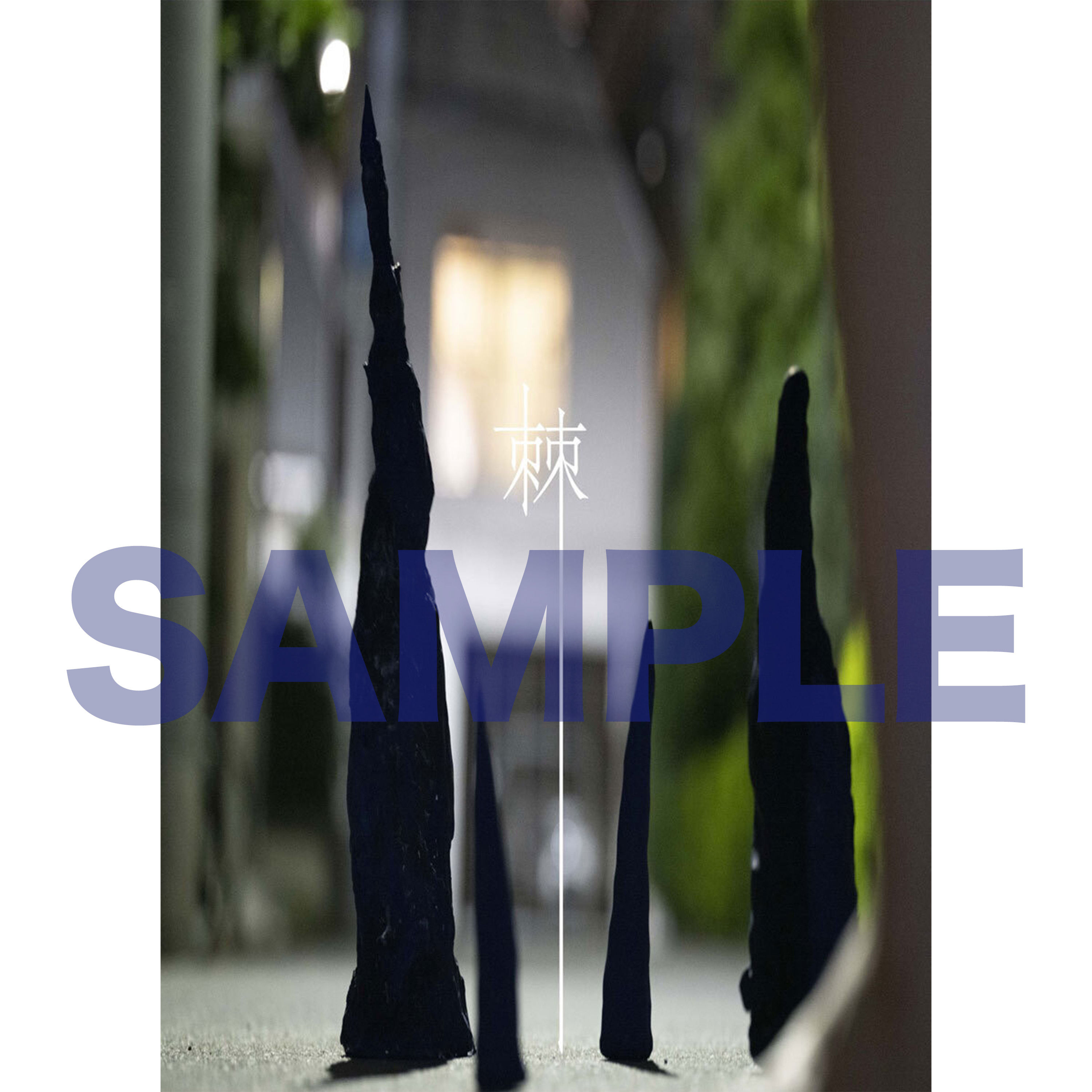 梅津瑞樹公式ZINE『棘』